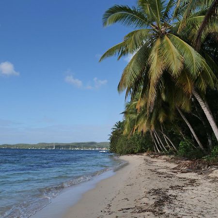 Village Kawann - Toumalacai 246 Grand-Bourg  Esterno foto