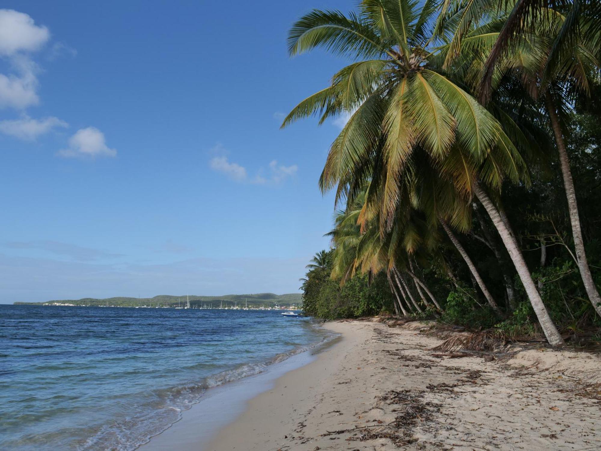 Village Kawann - Toumalacai 246 Grand-Bourg  Esterno foto